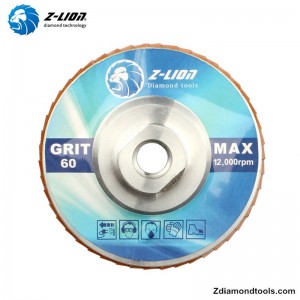 Dischi abrasivi diamantati da 5 pollici in alluminio ZL-WMCY02 con filettatura