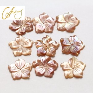 Materiale per gioielli in madreperla