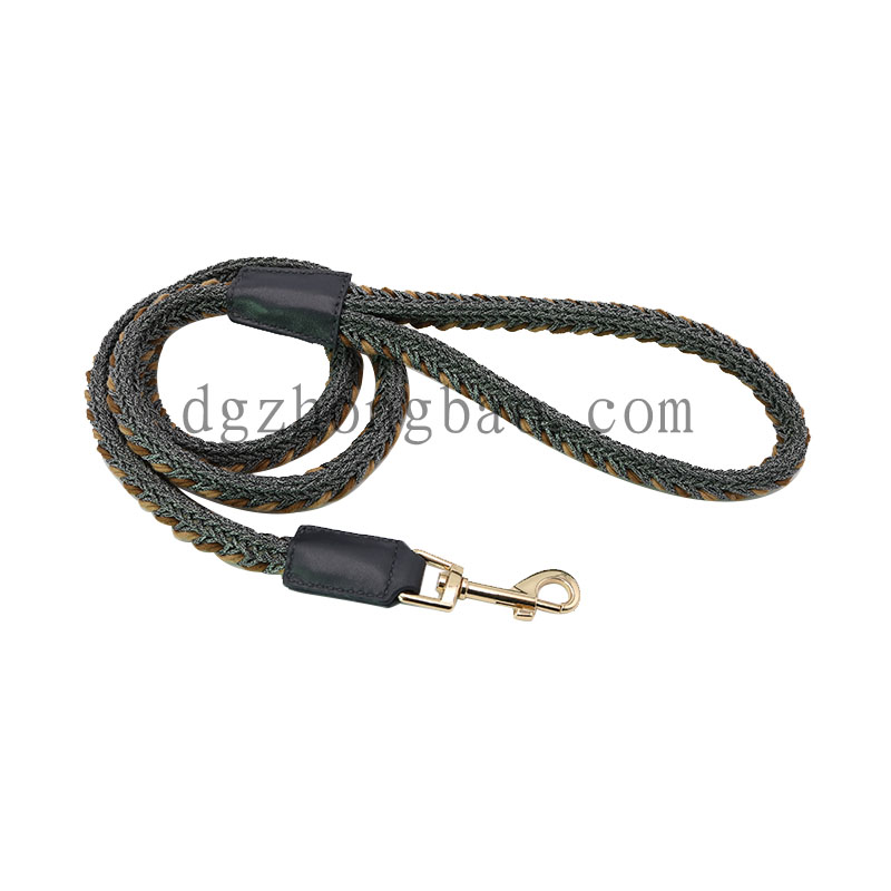 Cane marrone con elemento a treccia e corda di piombo