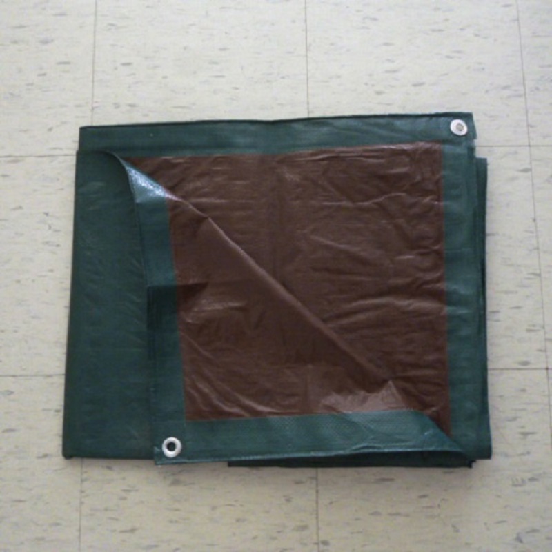 Telone di plastica Legname di plastica Trasparente Poly Tarp