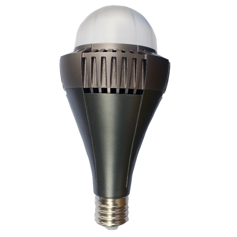 Lampadina LED 100W