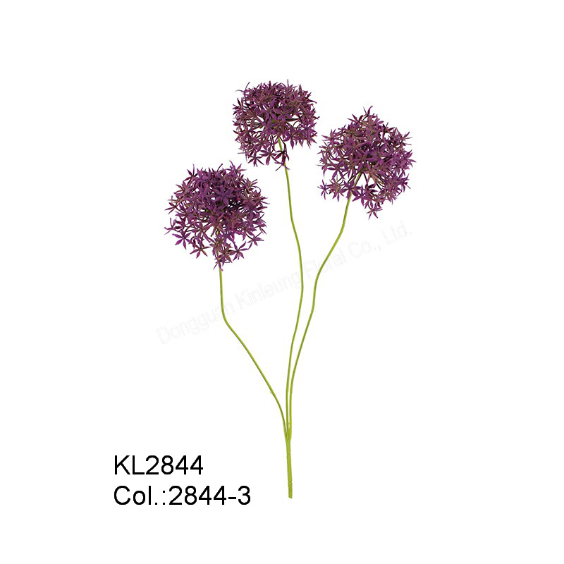 64cm Allium x 3 con Suggerimenti