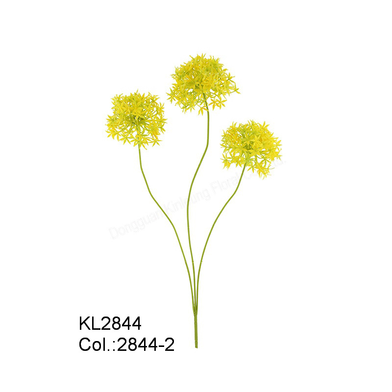 64cm Allium x 3 con Suggerimenti