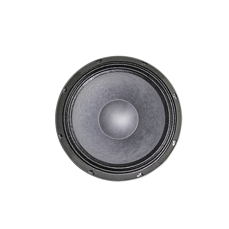 Speaker YH-D1065-08N