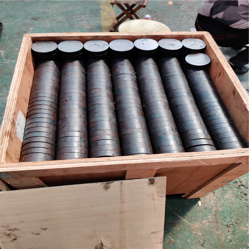 SAE10045 STEEL ROUND BARS DA CUTTARE