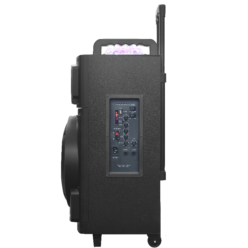 Trollry Speaker Y-K8-12M2H