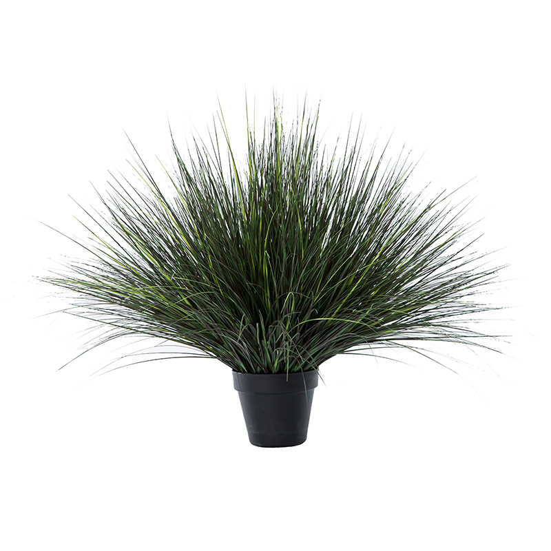 OH10920024/ OH10920025/ OH10920026