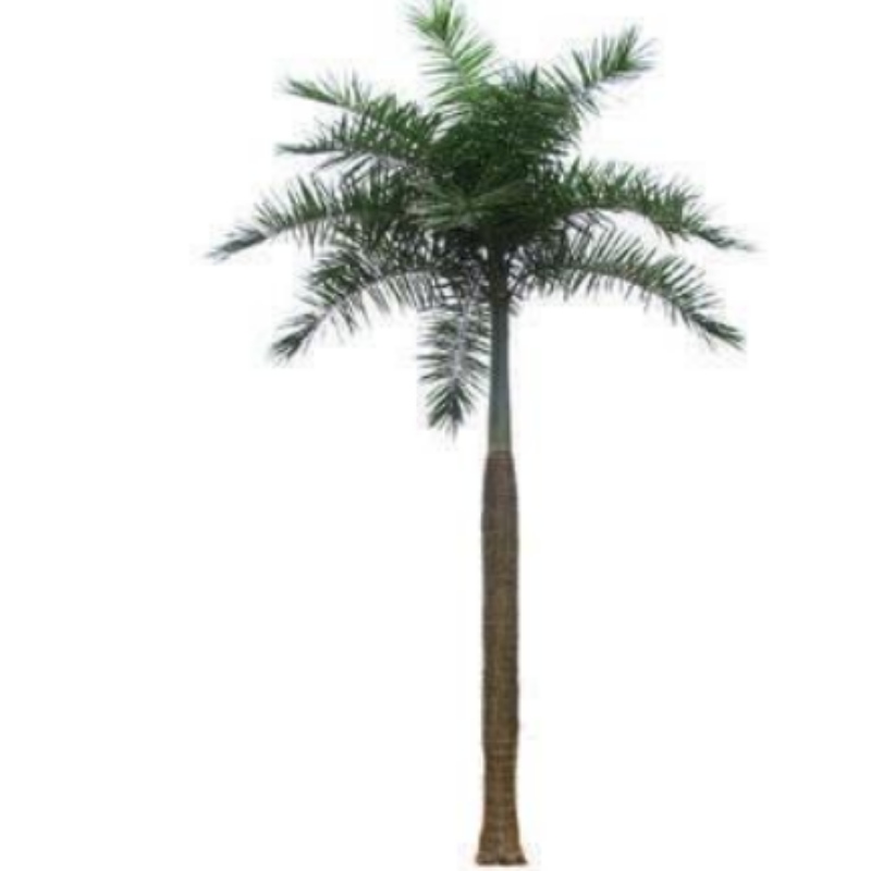 Grandi Outdoor Artificiali Coconut Trees
