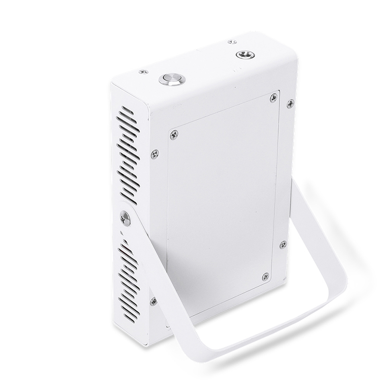 RD60 Terapia a luce rossa portatile Usare terapia a luce rossa a prezzi accessibili