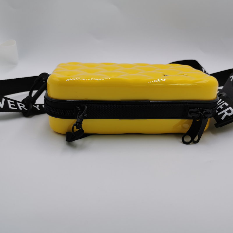 Borsa per animali domestici La custodia dei prodotti degli accessori elettronici digitali può essere una borsa a conchiglia rigida in Eva