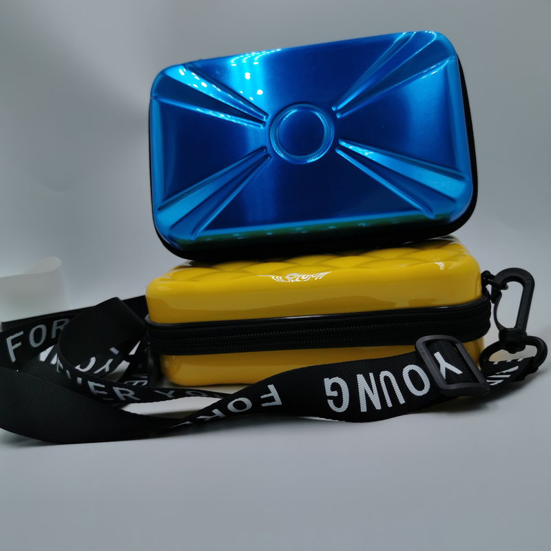 Borsa per animali domestici La custodia dei prodotti degli accessori elettronici digitali può essere una borsa a conchiglia rigida in Eva