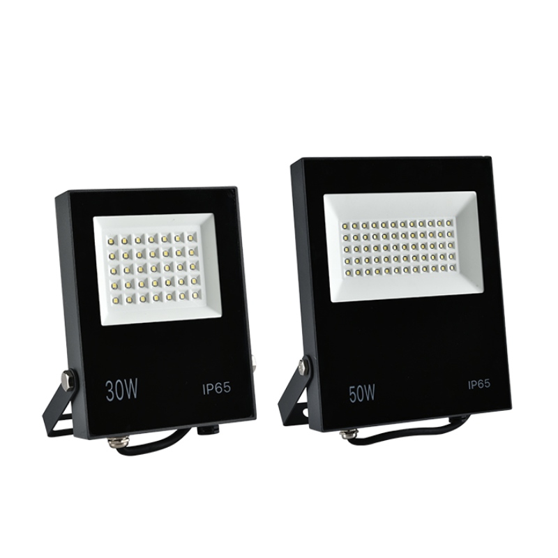 30W 50W 100W luce di inondazione