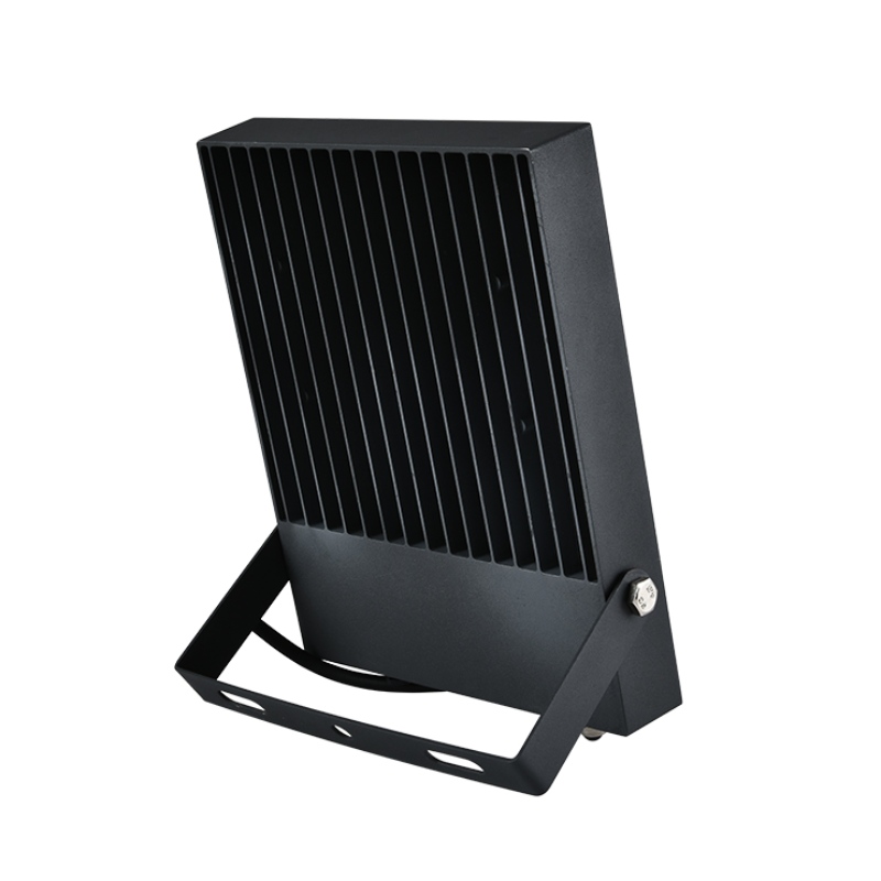 30W 50W 100W luce di inondazione