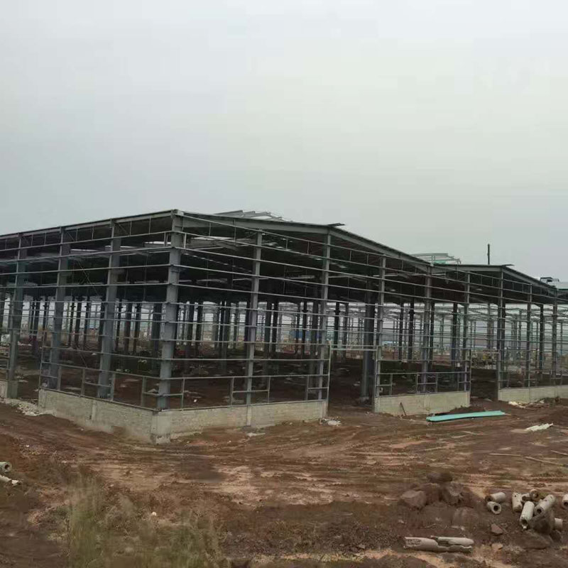 Esportazione in Europa Preab Steel Structure Warehouse Costruzioni in 100+ Paesi