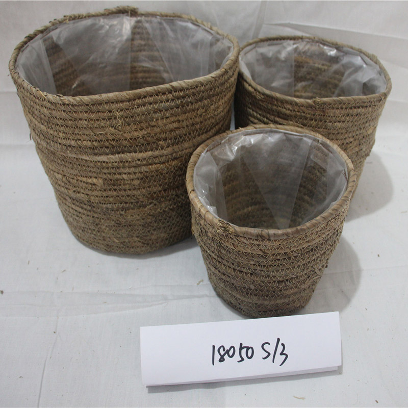 Cesto portaoggetti di alghe naturali con coperchio e maniglie Cesto portaoggetti