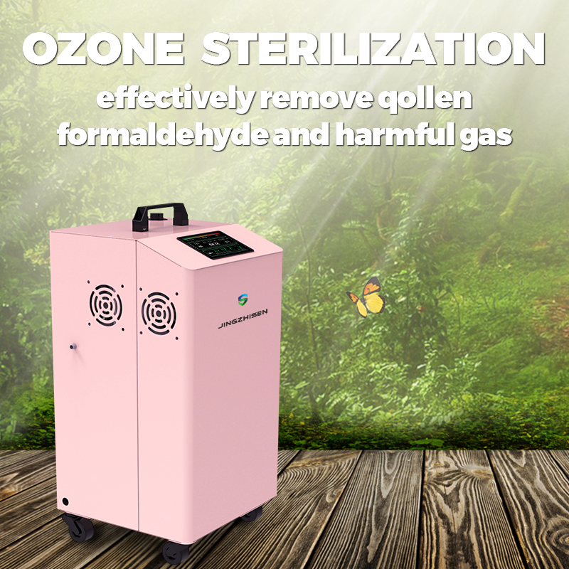 purificatore d'aria all'ozono