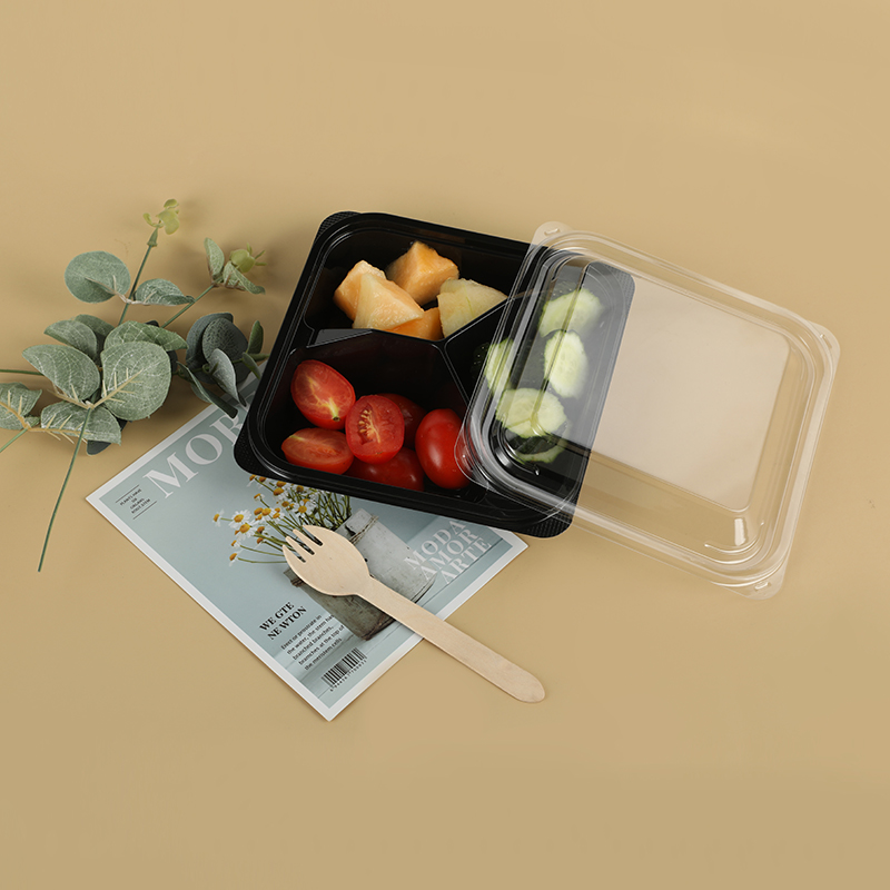 Scatola di pranzo 520A3