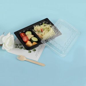 Scatola di pranzo 5202