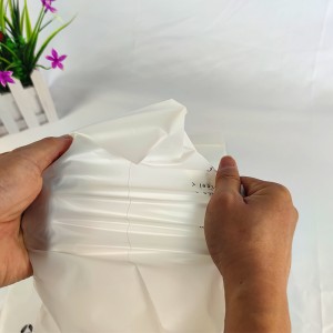 Custom biodegradabile compostabile piccolo sacchetto zip