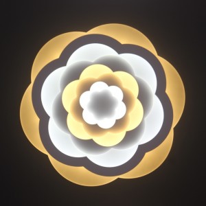 Lampada da soffitto AC805