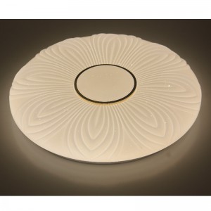 Lampada da soffitto CX204