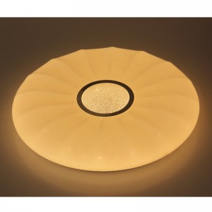 Lampada da soffitto CX205