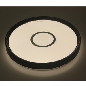Lampada da soffitto CX231