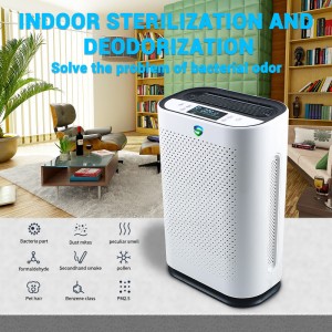 Pulitore di sterilizzazione dell\'aria potente