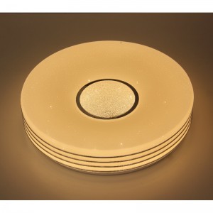 CX306 Luce di soffitto