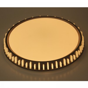 CX310 Luce di soffitto