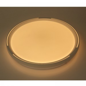 CX325 Luce di soffitto