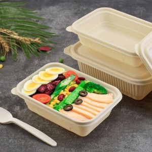 Contenitore per alimenti a rapida preparazione compostabile usa e getta compostabile formato personalizzato per bento shop contenitore per alimenti biodegradabili da asporto di amido di mais