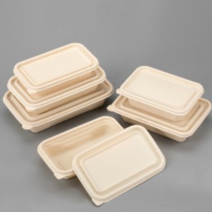 Eco friendly BPA gratuito di bento da pranzo da asporto scatola di imballaggio biodegradabile contenitore per alimenti