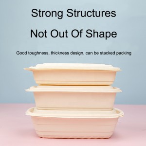 Biodegradabile amido di fecola fast food packaging box rettangolare take away food contenitore contenitore contenitore contenitore contenitore contenitore scatola degradabile
