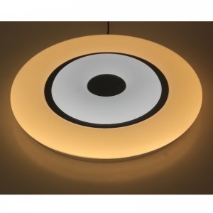 Lampada da soffitto CX369