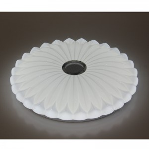 MU113 Luce di soffitto