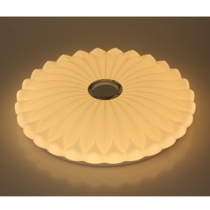 MU113 Luce di soffitto