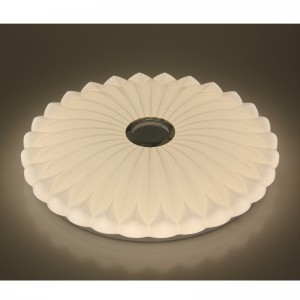 MU113 Luce di soffitto