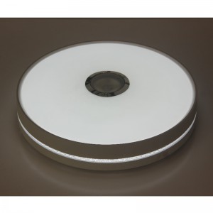 MU111 Luce di soffitto