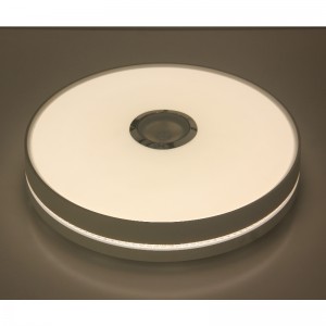 MU111 Luce di soffitto