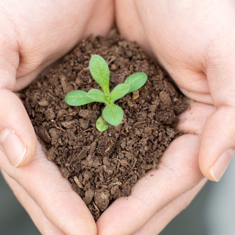 L\'eccellente prodotto3.