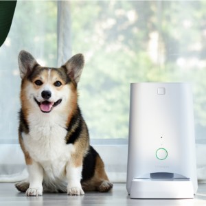 Alimentatore per animali domestici APP 6L