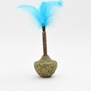 Lecca-lecca bicchiere di menta gatto