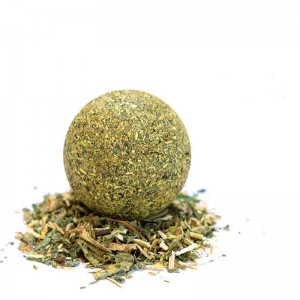 Ball della menta del gatto