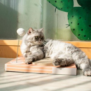 Abito da tavola per graffi cat