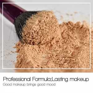 Polvere sciolta di controllo del controllo dell\'olio traslucido impermeabile