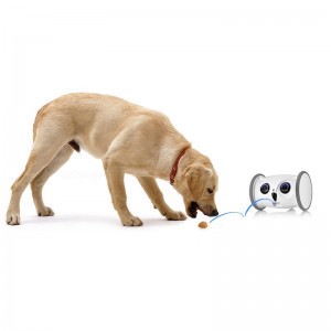 Stitta di robot del gufo intelligente