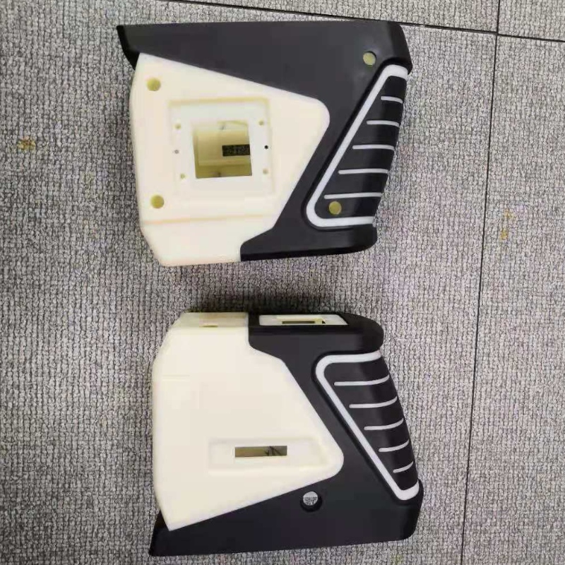 Prodotti trasformati con stampaggio a iniezione a due colori