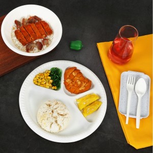 Contenitore alimentare monouso compostabile materiali PLA