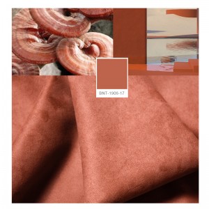 Tecnologia bionica monocromatica BNT1906